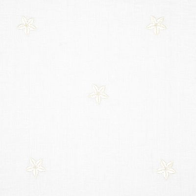 Blanc Vincenzo Embroidered Sheer Fabric