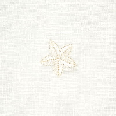 Ivory Vincenzo Embroidered Sheer Fabric