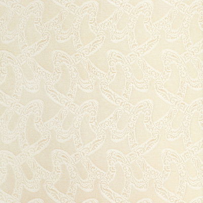 Blanc Chantilly Fabric