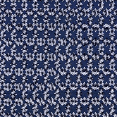 Navy Hix Fabric