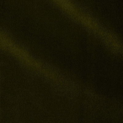 Moss Rocky Performance Velvet Fabric