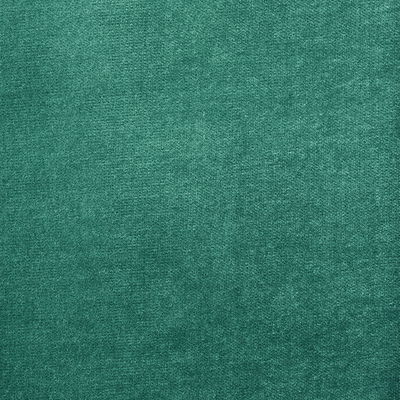 Ivy Rocky Performance Velvet Fabric