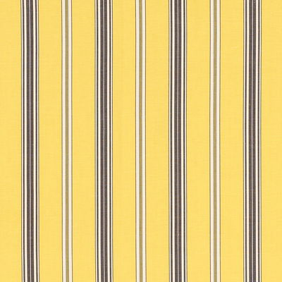 Yellow Coco Stripe Fabric
