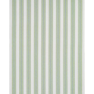 Green Audrey Stripe Fabric