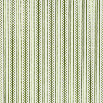 Green Jack Stripe Fabric