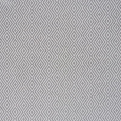 Gray Piedra Indoor/Outdoor Fabric