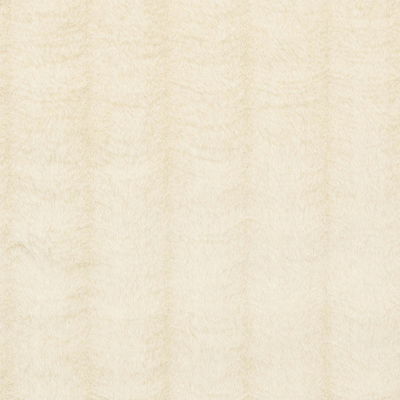 Ivory Tundra Fabric