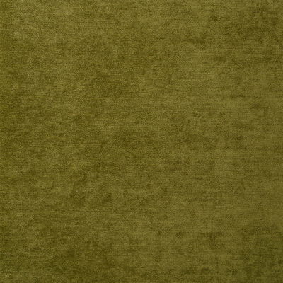 Moss Ryder Performance Chenille Fabric