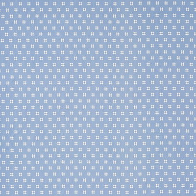 Ivory On Chambray Thandie Embroidery Fabric