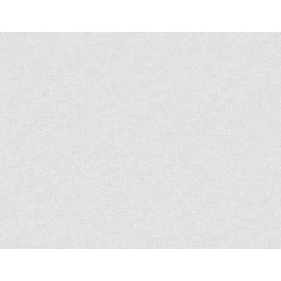 Normandy Ice Rink Wallpaper