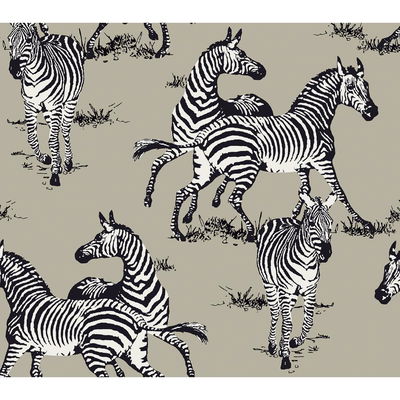 Harry & Grace Playful Zebras Pavestone Wallpaper