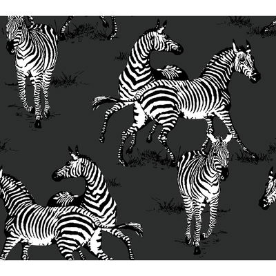 Harry & Grace Playful Zebras Charcoal Wallpaper