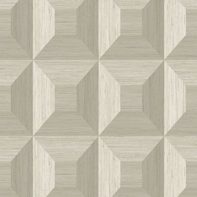 Squared Away Geometric Sand Dollar Wallpaper